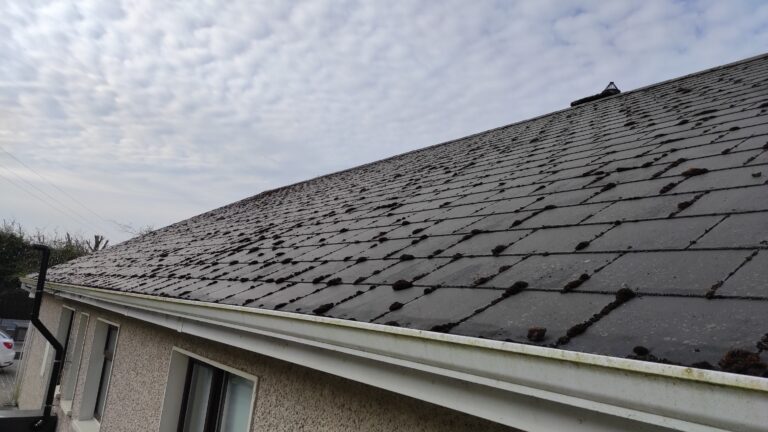 img 20210426 092751 768x432