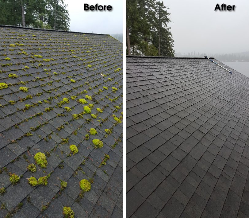 before after roof cleaning