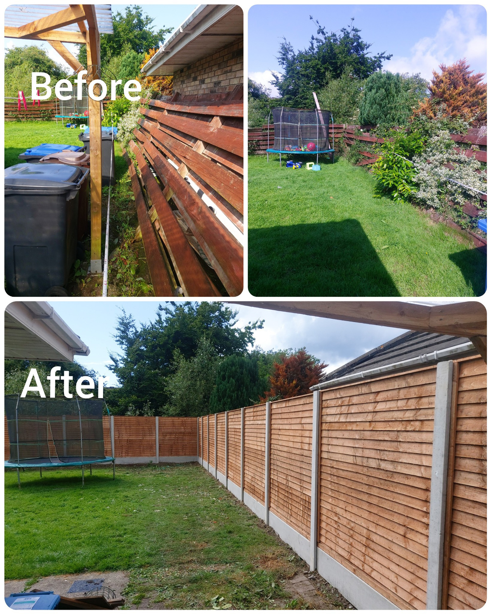 timber before and after